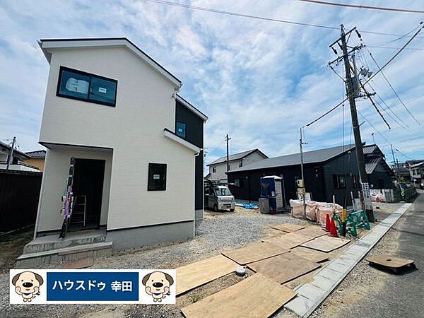 全体