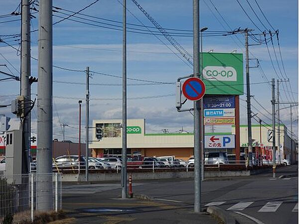 コープ鶴田店まで546mで、生活しやすい立地