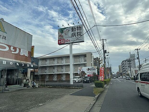 ADACHI動物病院丁寧な診察とわかりやすい説明が魅力の地域密着型クリニック。犬猫の一般診療から予防医療まで幅広く対応し、飼い主が安心して相談できる“頼れる動物病院”です。 290m