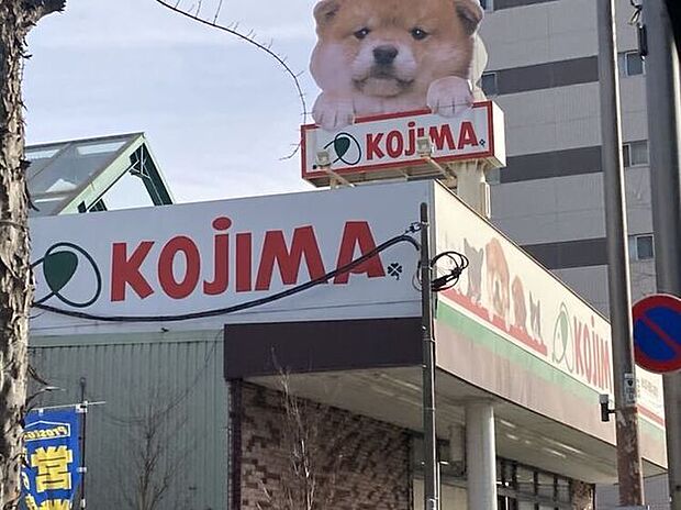 ペットショップ KOJIMA 竹ノ塚店 620m