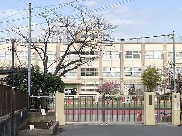 足立区立大谷田小学校 920m