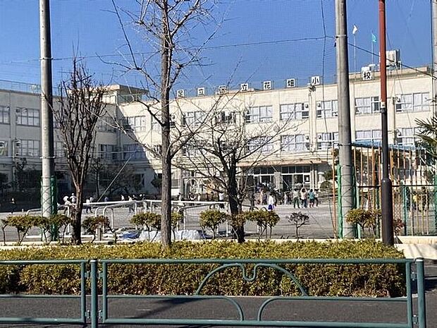 足立区立花畑小学校 680m