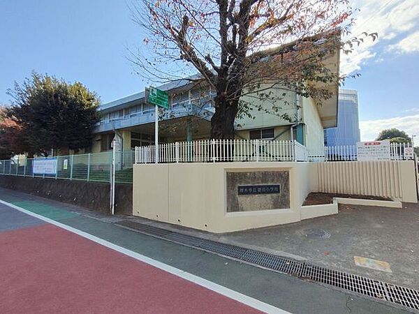 妻田小学校 450m