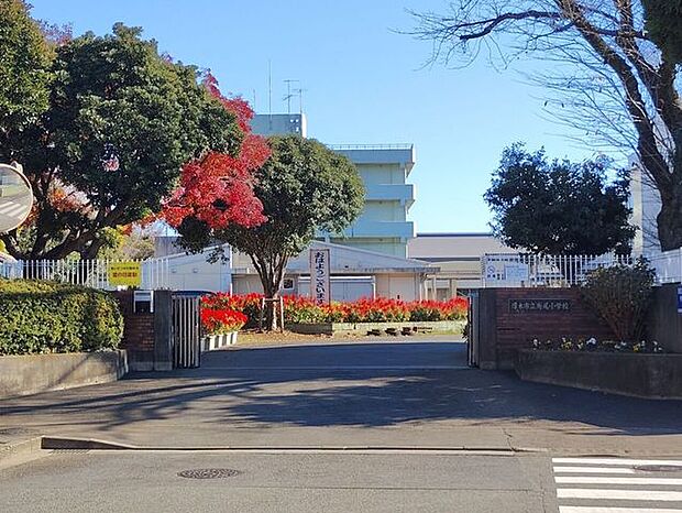 鳶尾小学校 900m