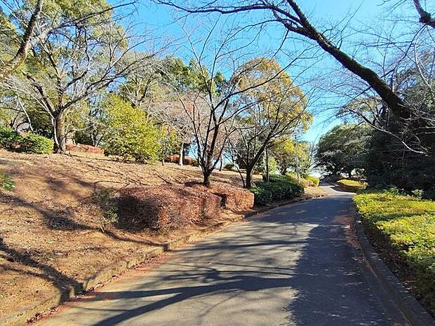 鳶尾中央公園 690m
