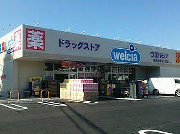 ウェルシア海老名東柏ケ谷店 770m