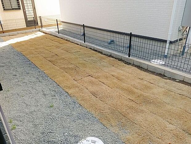 天然芝です　時間がたてば綺麗な芝に育つでしょう！