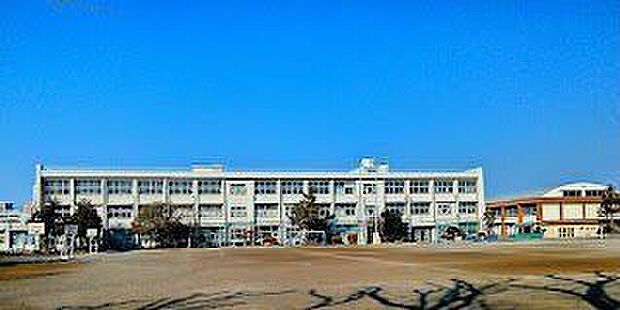 ひばりが丘小学校 810m