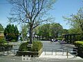 あざみ野西公園...