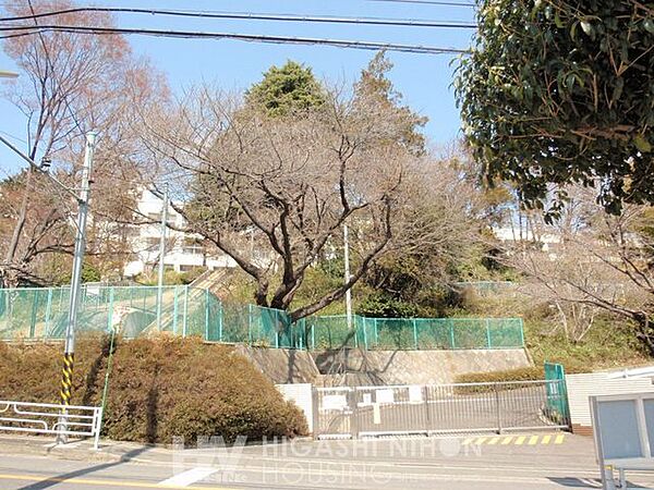 横浜市立谷本小学校 徒歩12分。●校地内には「谷本の森」と呼ばれる1.3haの学校林があり、豊かな自然と地域や保護者の方々の温かい思いに抱かれて、子どもたちは皆やさしく健やかに育っています● 950m
