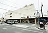 その他：中山駅は、JR横浜線と横浜市営地下鉄グリーンラインが交差する、交通利便性の高い街です。駅周辺には商業施設や活気ある商店街が集まる一方、駅から少し離れると「四季の森公園」など豊かな自然が広がります。