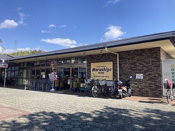 マルシゲ洛西福西店 1920m