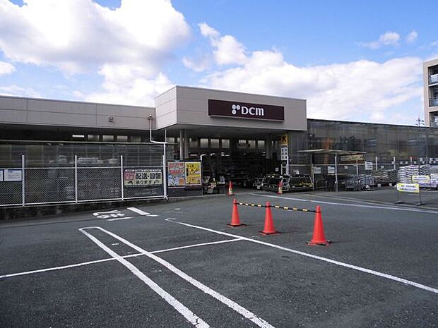 DCM 洛西店 2450m