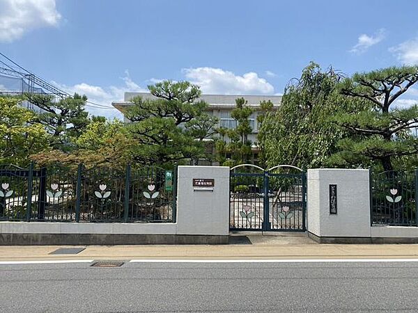 ときわ保育園 290m