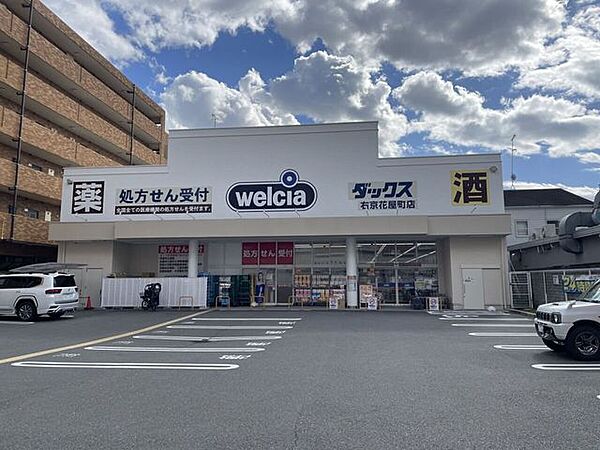 ダックス 花屋町店 350m