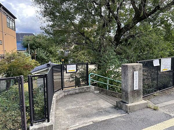 桂橋児童公園 200m