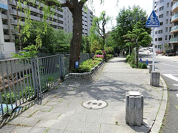 石崎川公園 550m