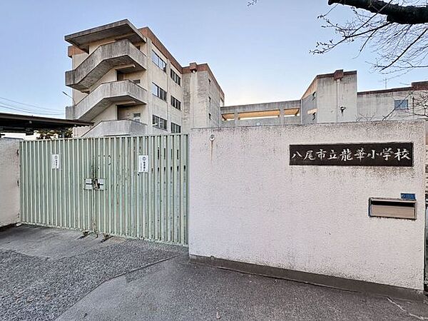 八尾市立龍華小学校 780m