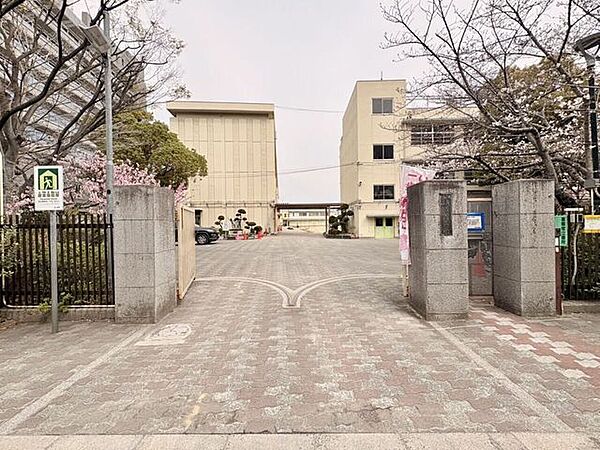 八尾市立八尾小学校 790m