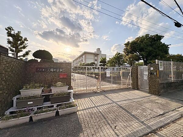 八尾市立美園小学校 1000m