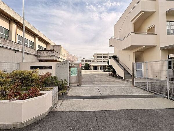 八尾市立志紀中学校 1910m