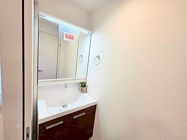 合わせ鏡としても使いやすい三面鏡を採用しており、毎朝のヘアセットや身支度がスムーズに進みます。鏡の裏や洗面台下部には収納スペースがしっかりと確保されているため、洗面まわりをきれいに保てます。