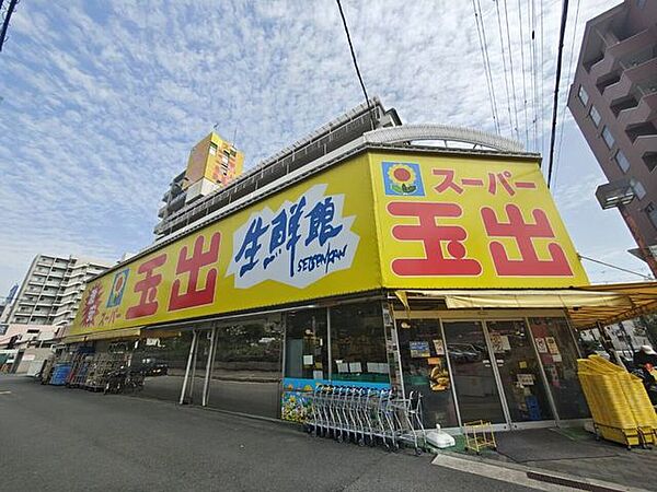 スーパー玉出 淀川 290m