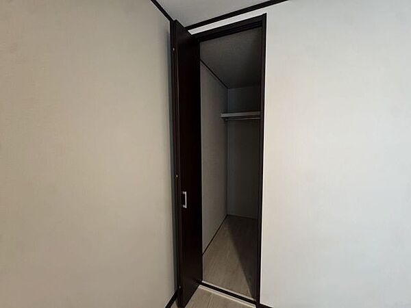 奥行きがあり、衣類や季節の荷物をすっきり収納できるクローゼット。ハンガーパイプと上部棚を備え、日常の整理整頓がスムーズに行えます。お部屋の生活感を抑え、広々とした居住空間を保つことが可能です。