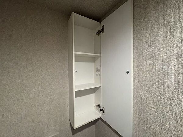 トイレットペーパーや清掃用具、予備の衛生用品などを隠して整理できる棚付きの吊戸棚。扉を閉めることで見た目をすっきりと保ち、限られたスペースを有効活用できます。