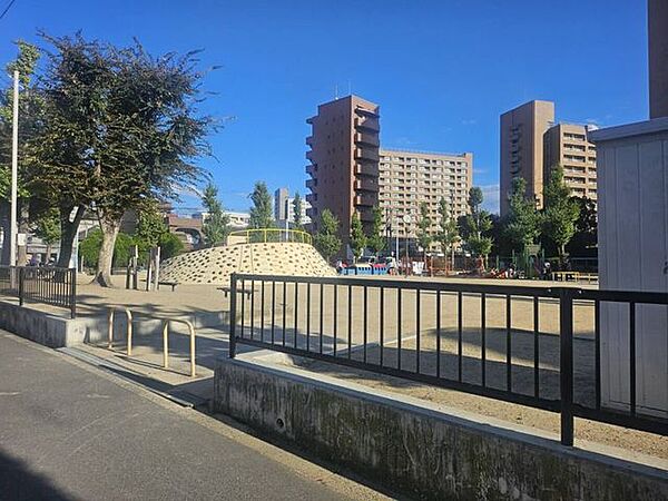 周辺を拡大表示
