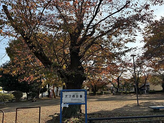 大久保公園 500m