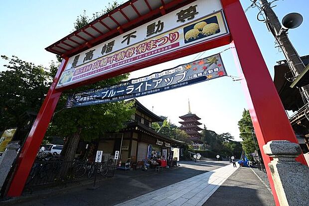 高幡不動尊（高幡山明王院金剛寺） 1390m