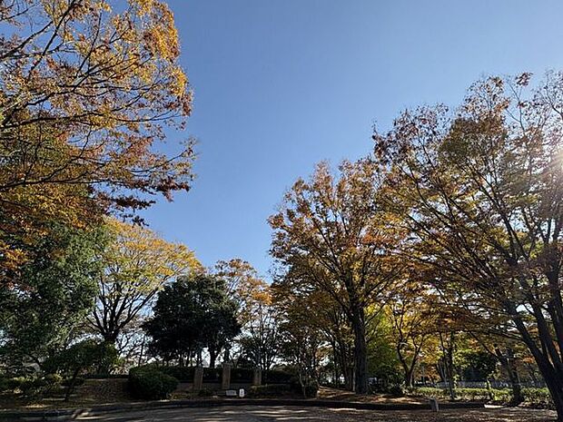 市民の森スポーツ公園 1700m