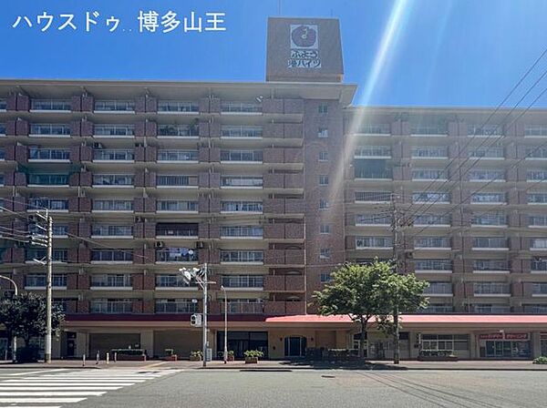 外観：340000299814