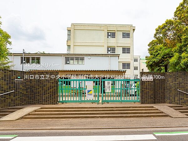 川口市立芝中央小学校 700m