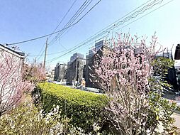 埼玉県川口市赤井３丁目