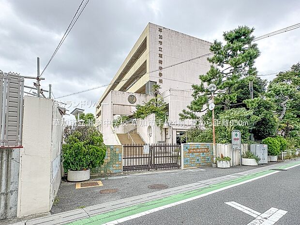 草加市立瀬崎中学校 950m