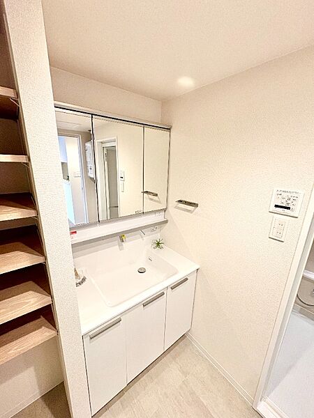 蛇口が伸びるシャワー付き洗面台！毎朝の寝ぐせ直しはもちろん、洗面ボウルのお掃除も隅々まで水が届き、とっても便利ですよ♪