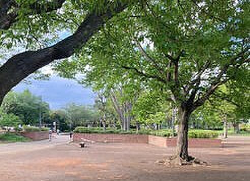 公園「八街中央公園まで2040m」