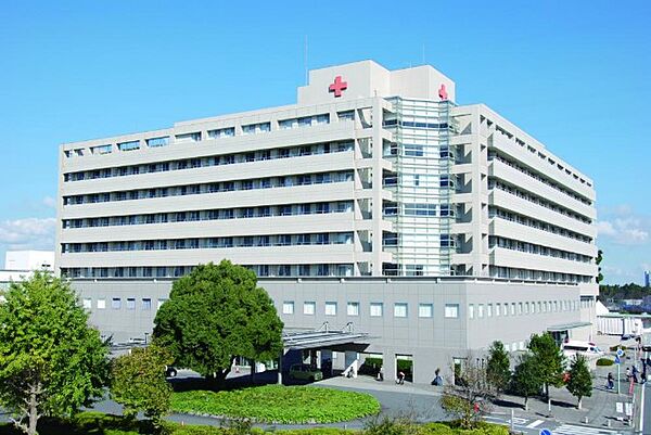 病院「成田赤十字病院まで853m」