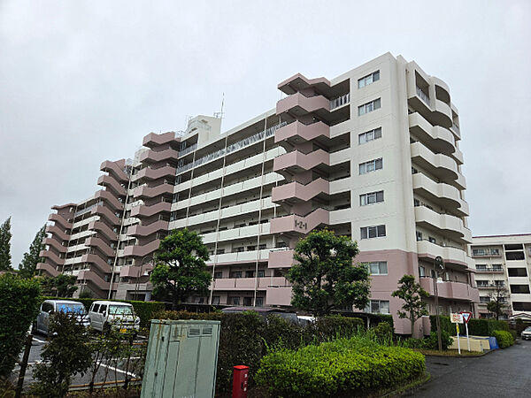 外観：312001302605