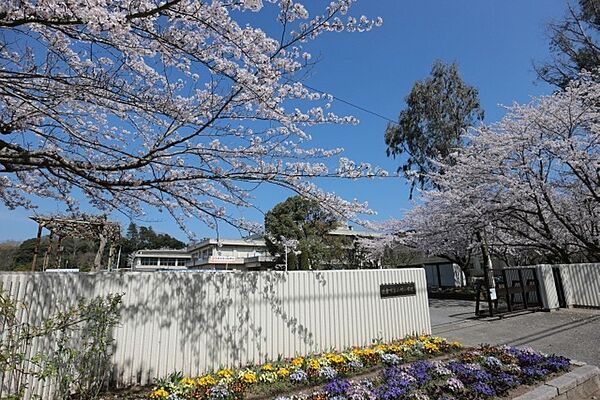 小学校「佐倉市立小竹小学校まで941m」