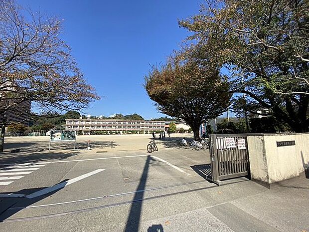 大分市立荏隈小学校 580m