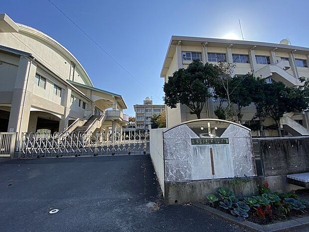 大分市立城南中学校 500m