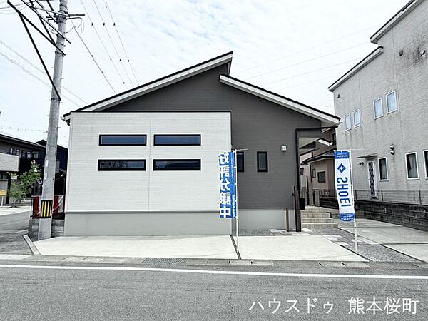 外観：343000088768