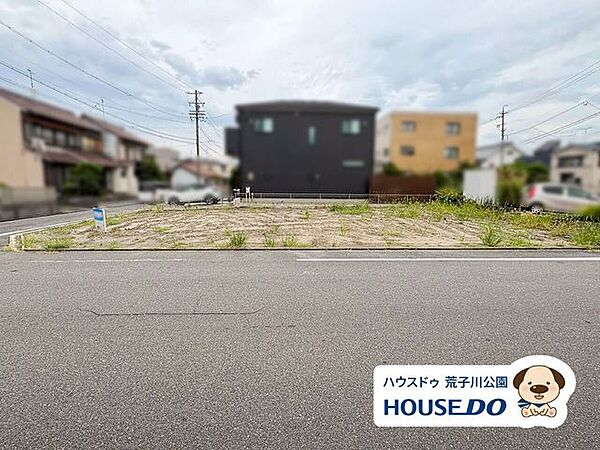 西より全景