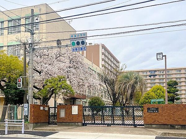 東海小学校 170m