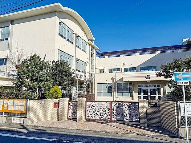 豊国中学校 1000m