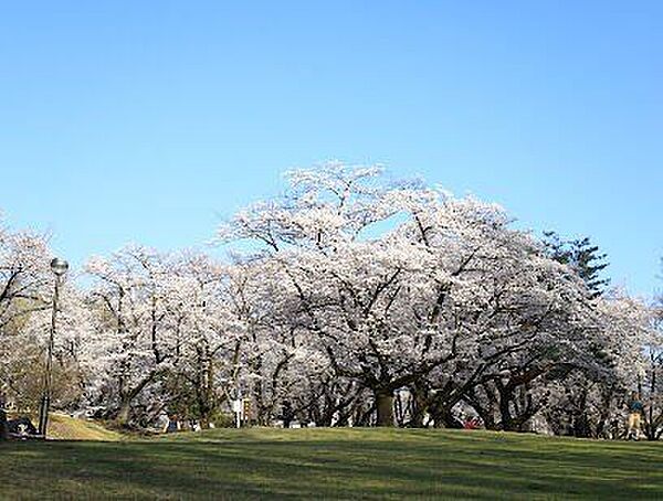 埼玉県営狭山稲荷山公園 1100m