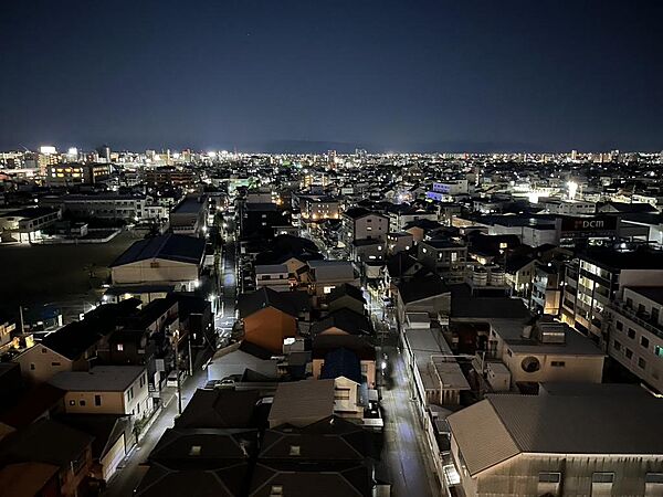 ご覧の夜景です